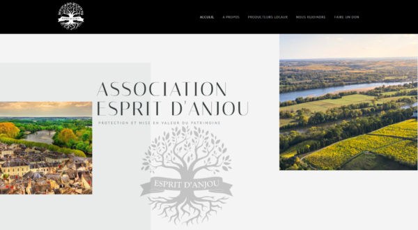 Association EDA
